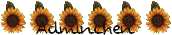 Adminchen Adminchen